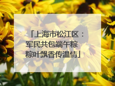 上海市松江区：军民共包端午粽 粽叶飘香传温情