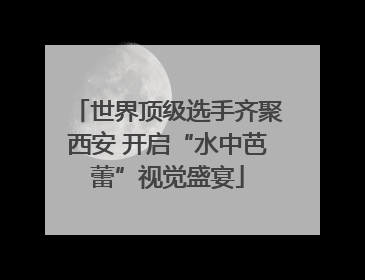 世界顶级选手齐聚西安 开启“水中芭蕾”视觉盛宴
