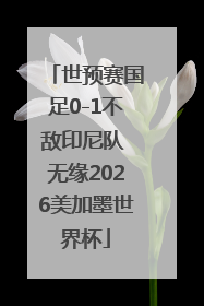世预赛国足0-1不敌印尼队 无缘2026美加墨世界杯