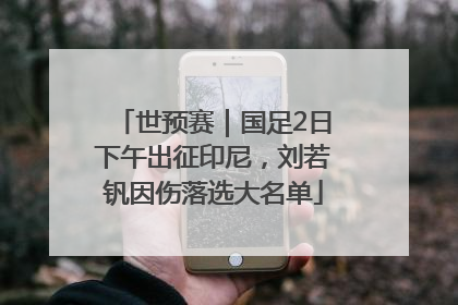 世预赛｜国足2日下午出征印尼，刘若钒因伤落选大名单