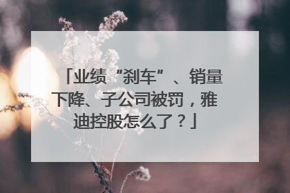 业绩“刹车”、销量下降、子公司被罚，雅迪控股怎么了？