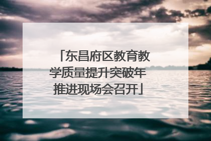 东昌府区教育教学质量提升突破年推进现场会召开
