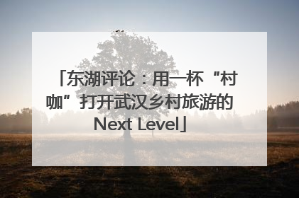 东湖评论：用一杯“村咖”打开武汉乡村旅游的Next Level