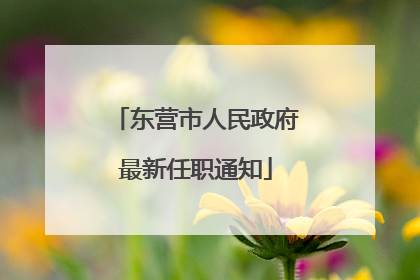 东营市人民政府最新任职通知