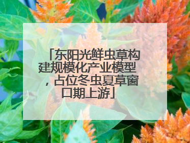 东阳光鲜虫草构建规模化产业模型，占位冬虫夏草窗口期上游