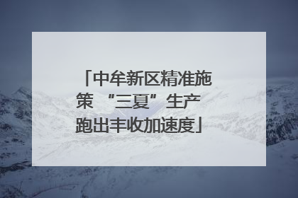 中牟新区精准施策 “三夏”生产跑出丰收加速度