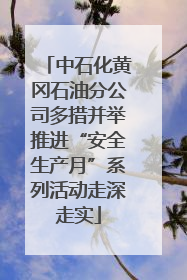 中石化黄冈石油分公司多措并举推进“安全生产月”系列活动走深走实