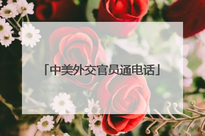 中美外交官员通电话