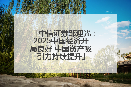 中信证券邹迎光：2025中国经济开局良好 中国资产吸引力持续提升