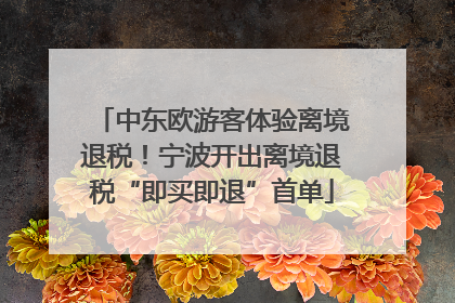 中东欧游客体验离境退税！宁波开出离境退税“即买即退”首单