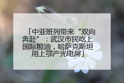 中亚班列带来“双向奔赴”：武汉市民吃上国际粮油，哈萨克斯坦用上鄂产光电屏