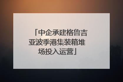 中企承建格鲁吉亚波季港集装箱堆场投入运营