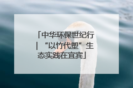 中华环保世纪行｜“以竹代塑”生态实践在宜宾
