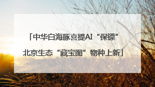 中华白海豚喜提AI“保镖” 北京生态“藏宝图”物种上新