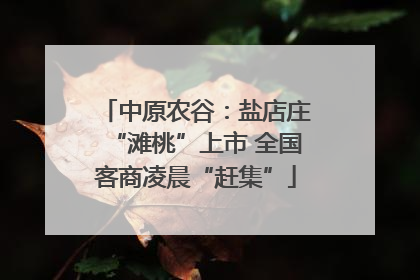中原农谷：盐店庄“滩桃”上市 全国客商凌晨“赶集”
