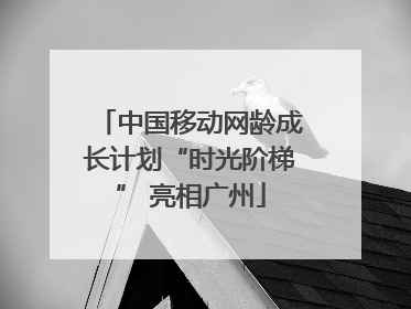 中国移动网龄成长计划“时光阶梯” 亮相广州