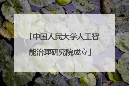 中国人民大学人工智能治理研究院成立