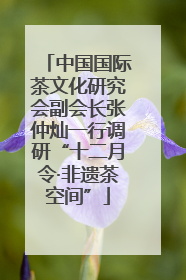 中国国际茶文化研究会副会长张仲灿一行调研“十二月令·非遗茶空间”