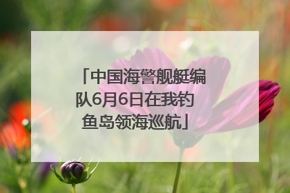 中国海警舰艇编队6月6日在我钓鱼岛领海巡航