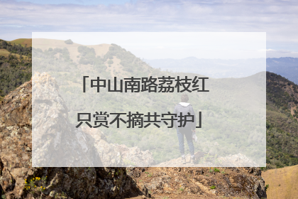 中山南路荔枝红 只赏不摘共守护