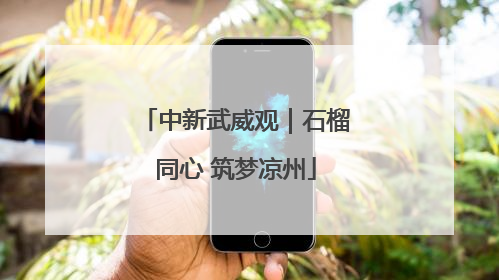中新武威观｜石榴同心 筑梦凉州