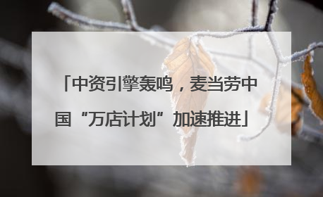 中资引擎轰鸣，麦当劳中国“万店计划”加速推进