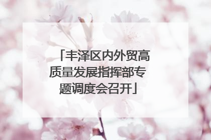 丰泽区内外贸高质量发展指挥部专题调度会召开