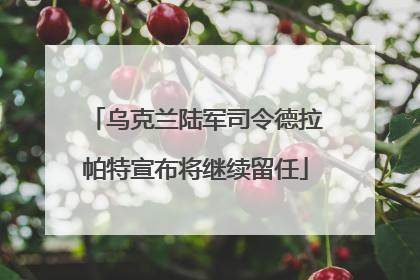 乌克兰陆军司令德拉帕特宣布将继续留任