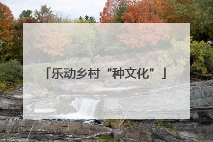 乐动乡村“种文化”