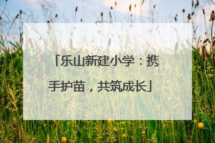 乐山新建小学：携手护苗，共筑成长