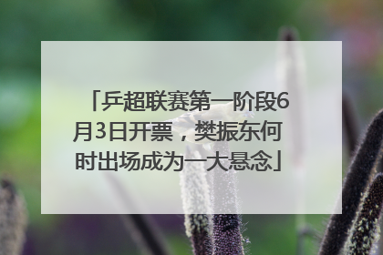 乒超联赛第一阶段6月3日开票，樊振东何时出场成为一大悬念