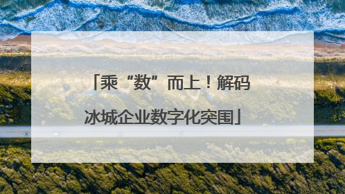 乘“数”而上！解码冰城企业数字化突围