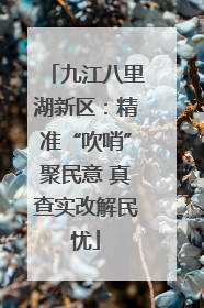 九江八里湖新区：精准“吹哨”聚民意 真查实改解民忧