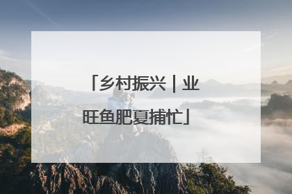 乡村振兴｜业旺鱼肥夏捕忙