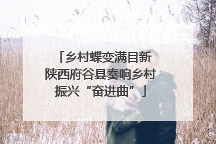 乡村蝶变满目新 陕西府谷县奏响乡村振兴“奋进曲”