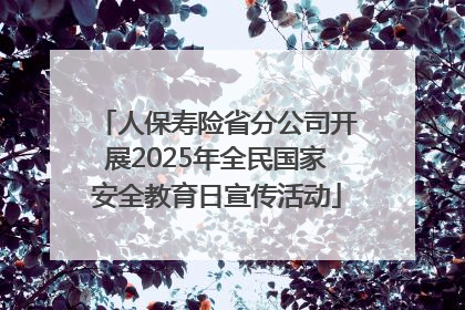 人保寿险省分公司开展2025年全民国家安全教育日宣传活动