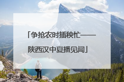争抢农时插秧忙——陕西汉中夏播见闻
