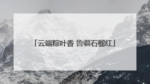 云端粽叶香 鲁疆石榴红