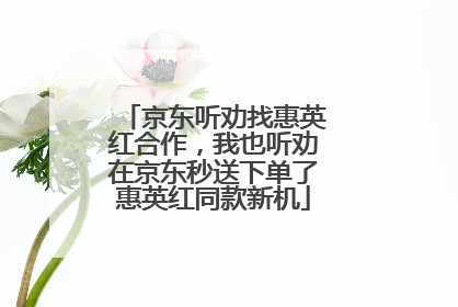 京东听劝找惠英红合作，我也听劝在京东秒送下单了惠英红同款新机