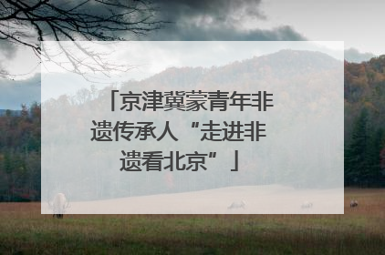 京津冀蒙青年非遗传承人“走进非遗看北京”