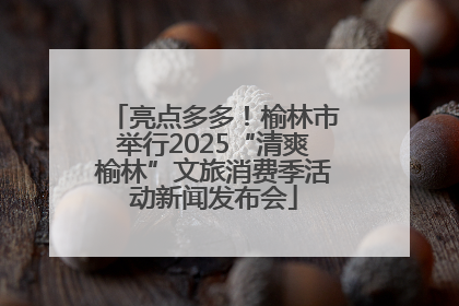 亮点多多！榆林市举行2025“清爽榆林”文旅消费季活动新闻发布会