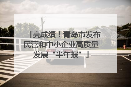 亮成绩！青岛市发布民营和中小企业高质量发展“半年报”
