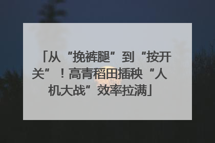 从“挽裤腿”到“按开关”！高青稻田插秧“人机大战”效率拉满