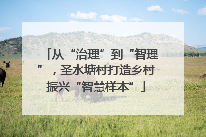 从“治理”到“智理”，圣水塘村打造乡村振兴“智慧样本”