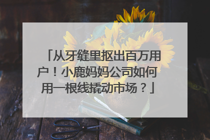 从牙缝里抠出百万用户！小鹿妈妈公司如何用一根线撬动市场？