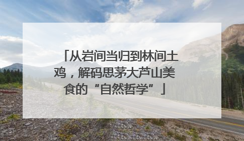 从岩间当归到林间土鸡，解码思茅大芦山美食的“自然哲学”