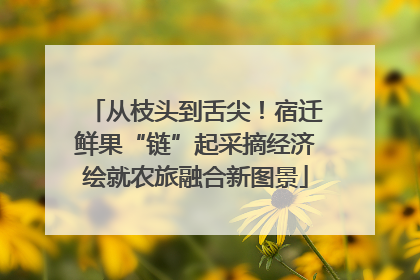 从枝头到舌尖！宿迁鲜果“链”起采摘经济绘就农旅融合新图景