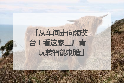 从车间走向领奖台！看这家工厂青工玩转智能制造