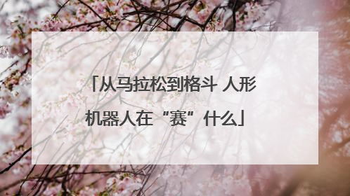 从马拉松到格斗 人形机器人在“赛”什么