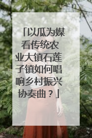 以瓜为媒 看传统农业大镇石莲子镇如何唱响乡村振兴协奏曲？